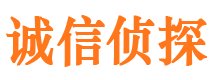 庆安侦探公司